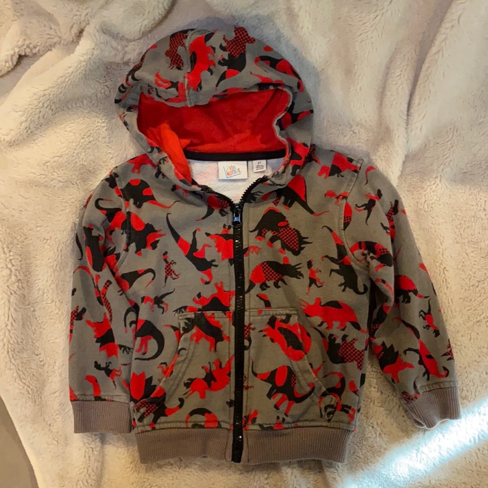 Dino hoodie
